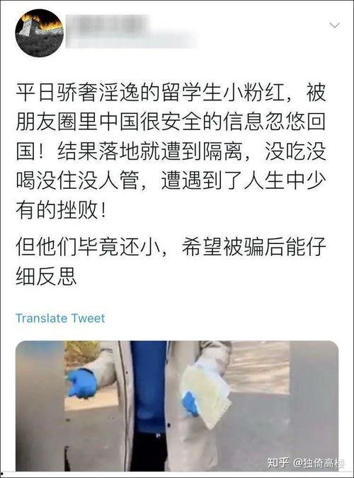 叶县网红吃瓜事件始末,一场网络狂欢背后的真相与反思