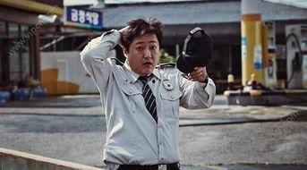 哭声电影手机在线观看,手机在线观看，揭秘恐怖背后的真相